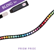 Prism Pride Frontriem Bling Swing